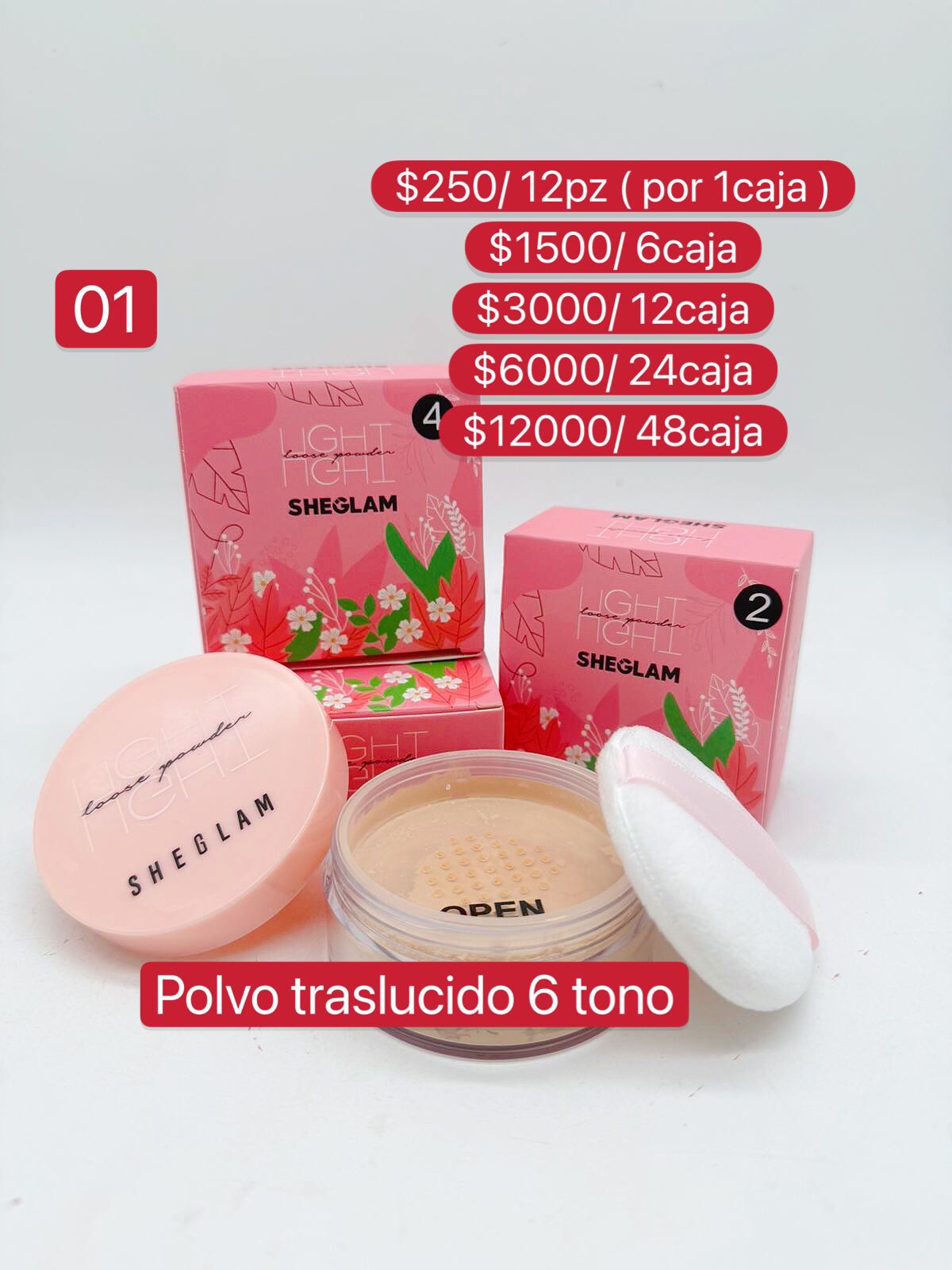 Polvo traslucido 6 tonos
